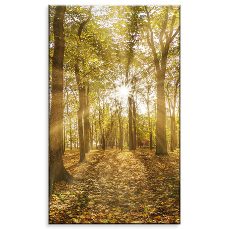 Leinwandgemälde Sonne zwischen Bäumen im Wald 60x100 cm