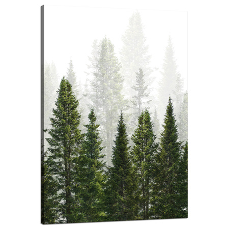 Leinwandgemälde Regenwald Natur Bäume 80x120 cm