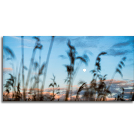 Leinwandgemälde Nature Glade Meadow Sunrise 120x60