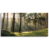 Leinwanddruck Wald Bäume Sonne Natur 120x60 cm