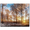 Leinwandgemälde Bäume Winter aufgehende Sonne 50x40 cm