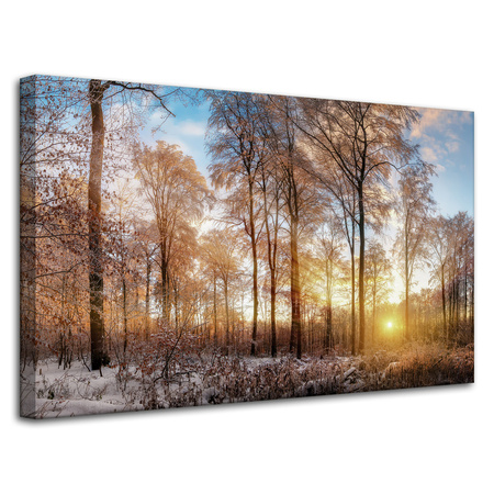 Leinwandgemälde Bäume Winter aufgehende Sonne 80x50 cm