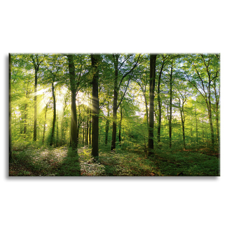 Leinwanddruck Sonne, Wald, Bäume, Lichtstrahlen, 70x50 cm