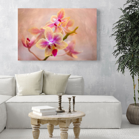 Leinwandgemälde Botanik Orchidee 40x30 cm