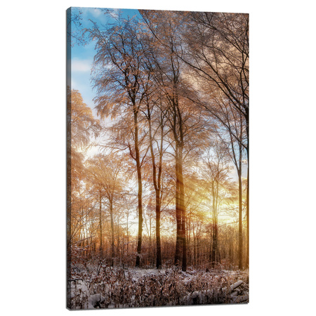 Leinwandgemälde Bäume Winter aufgehende Sonne 60x100 cm
