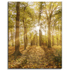 Leinwandgemälde Sonne zwischen Bäumen im Wald 40x50 cm