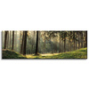 Leinwanddruck Wald Bäume Sonne Natur 120x40 cm