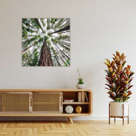 Leinwandgemälde Bäume Himmel Natur Natur Kunst 90X90 cm