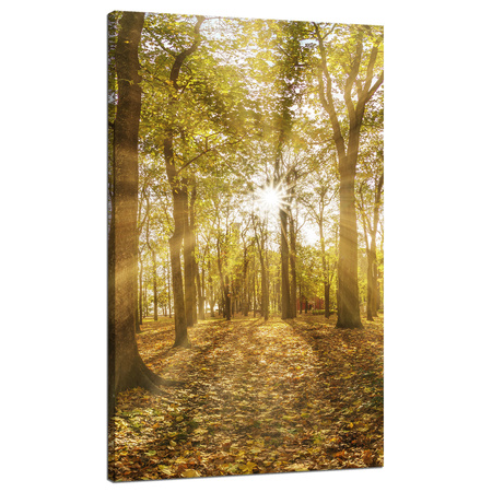 Leinwandgemälde Sonne zwischen Bäumen im Wald 70x120 cm