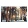 Leinwanddruck Wald Winter Schneewittchen Natur 120x80 cm