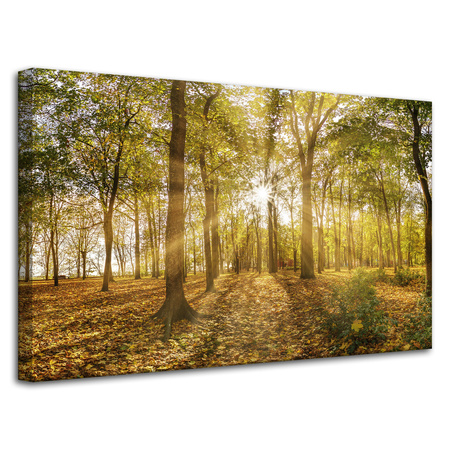 Leinwandgemälde Sonne zwischen Bäumen im Wald 80x50 cm