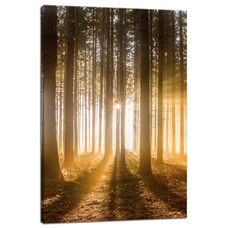 Leinwandgemälde Sonne im Wald Baumlicht 40x60 cm
