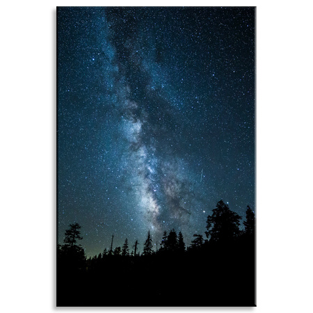 Leinwandgemälde Space Night Forest Nebula 80x120
