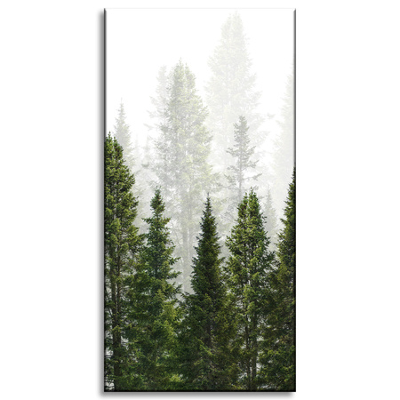 Leinwandgemälde Regenwald Natur Bäume 40x80 cm