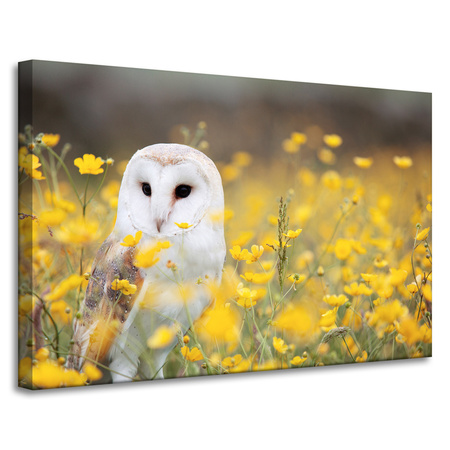 Leinwandgemälde Weiße Eule Blumen Natur Wiese 90x60