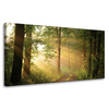 Leinwandgemälde Sonnenlicht Waldweg Natur 80x40 cm