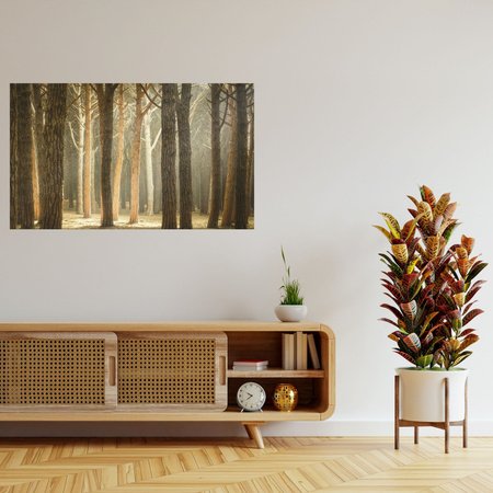 Leinwandgemälde Bäume Licht Natur Wald 120x80 cm