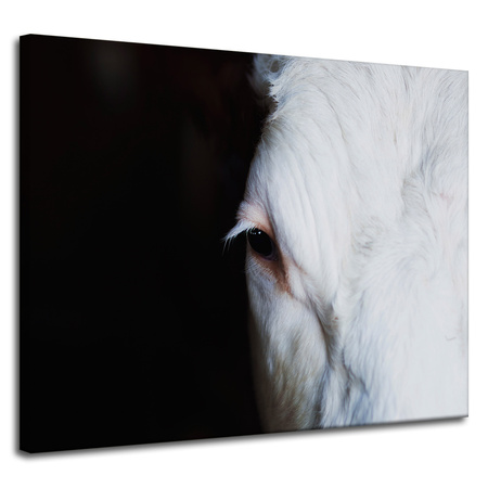 Leinwandgemälde Tiere Auge 100x80 cm