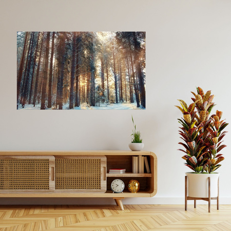 Leinwanddruck Wald Winter Schneewittchen Natur 120x80 cm
