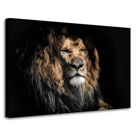 Leinwandgemälde Erwachsener Löwe 90x60
