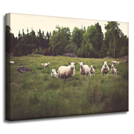 Leinwandgemälde Natur Schafe auf der Weide 40x30 cm