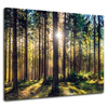 Leinwanddruck Wald Sonne Bäume Frühlingsmorgen 100x80 cm