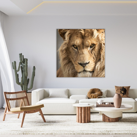 Bild auf Leinwand Schrecklicher schöner Löwe Helligkeit Tier 50X50 cm