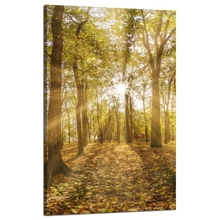 Leinwandgemälde Sonne zwischen Bäumen im Wald 50x80 cm