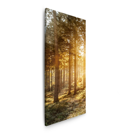 Leinwandgemälde Birken Bäume Sonnenmorgen 40x120 cm
