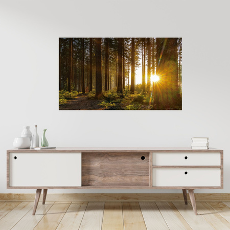 Leinwandgemälde Sonnenuntergang Wald Bäume Natur 120x80 cm
