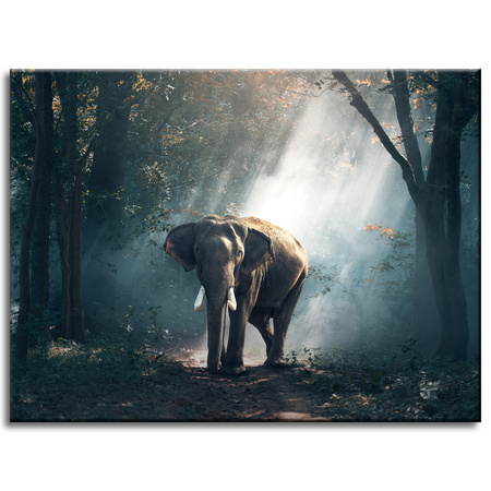 Leinwanddruck Tiere Elefant 40x30 cm