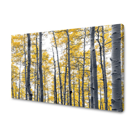 Leinwandgemälde Gelbe Birkenblätter Natur Frühling 120x80 cm