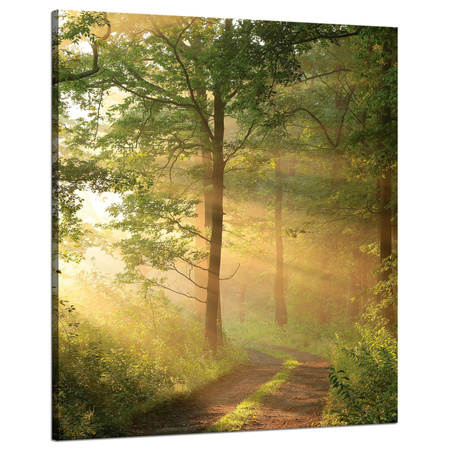 Leinwandgemälde Sonnenlicht Waldweg Natur 80x100 cm