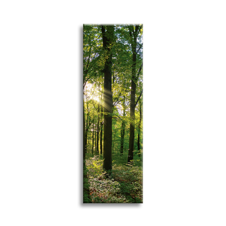 Leinwanddruck Sonne, Wald, Bäume, Lichtstrahlen, 40x120 cm