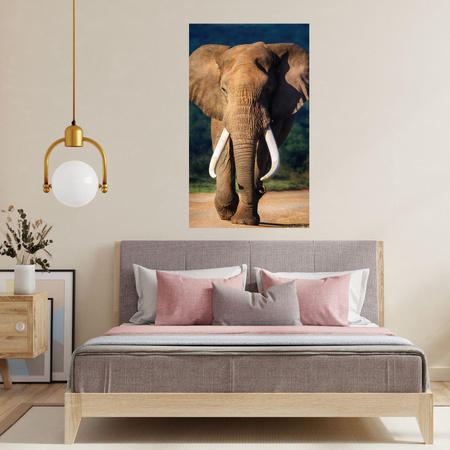 Leinwandgemälde Großer großer Elefant Tier Natur 80x120 cm