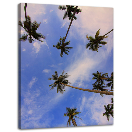 Leinwandgemälde Natur Kokospalmen 30x40 cm