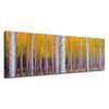Leinwandgemälde Birken in herbstlichen gelben Blättern 120x40 cm
