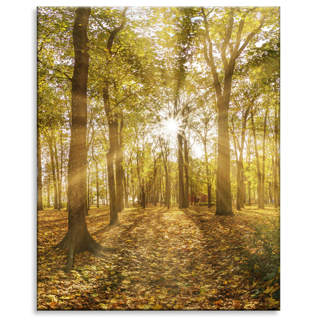 Leinwandgemälde Sonne zwischen Bäumen im Wald 80x100 cm