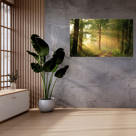 Leinwandgemälde Sonnenlicht Waldweg Natur 120x80 cm