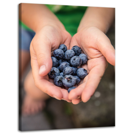 Leinwandgemälde Küche Blaubeeren 30x40 cm