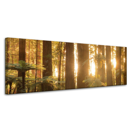 Leinwandgemälde Sonnenstrahlen Waldbäume 120x40 cm