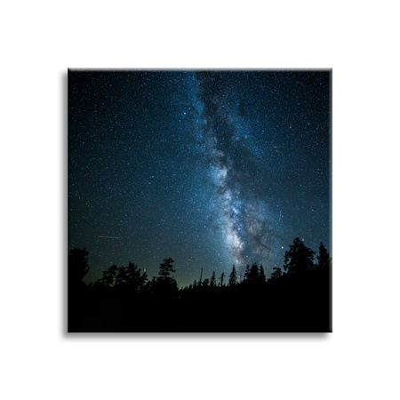 Leinwandgemälde Space Night Forest Nebula 90x90