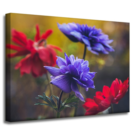 Leinwandgemälde Botanikblumen 40x30 cm