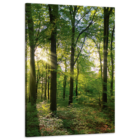 Leinwanddruck Sonne, Wald, Bäume, Lichtstrahlen, 60x90 cm