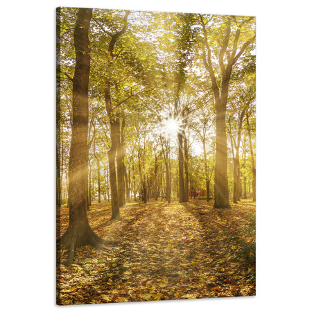 Leinwandgemälde Sonne zwischen Bäumen im Wald 60x90 cm