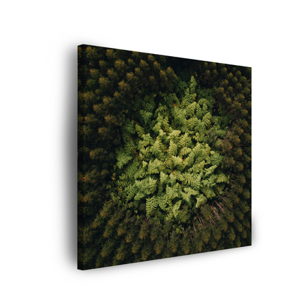 Leinwandgemälde Naturbäume aus der Vogelperspektive 90x90