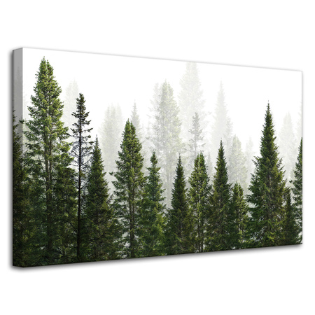 Leinwandgemälde Regenwald Natur Bäume 80x50 cm