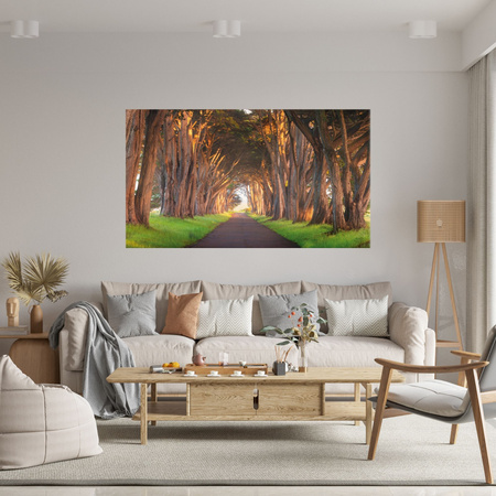 Leinwandgemälde Straße zwischen Bäumen Natur 120x80 cm