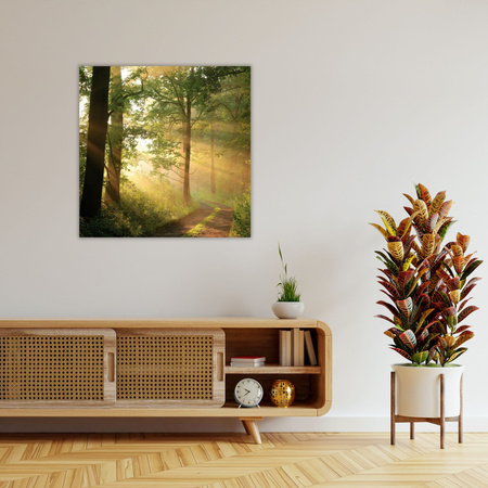 Leinwandgemälde Sonnenlicht Waldweg Natur 80X80 cm