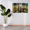 Leinwanddruck Wald Sonne Bäume Frühlingsmorgen 100x80 cm
